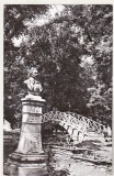 bnk cp Botosani - Vedere din Parcul M Eminescu - circulata