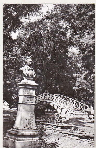 bnk cp Botosani - Vedere din Parcul M Eminescu - circulata