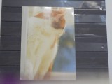 AUSTRIA - PISICA IN RELAXARE - RECLAMA LA HRANA WHISKAS - CIRCULATA -