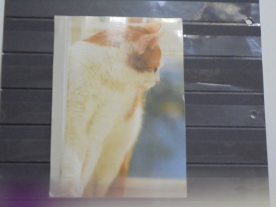 AUSTRIA - PISICA IN RELAXARE - RECLAMA LA HRANA WHISKAS - CIRCULATA - foto