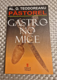 Gastronomice Al. O. Teodorescu Pastorel