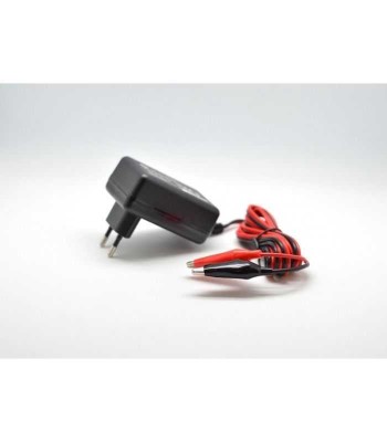 Incarcator acumulator plumb acid 12V tensiune de iesire 13.8V curent foto
