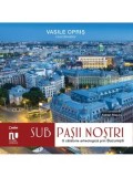 Cumpara ieftin Sub pasii nostri. O calatorie arheologica prin Bucuresti/Vasile Opris