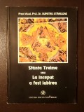 Preot Acad. Prof. Dr. Dumitru Stăniloae - Sf&acirc;nta Treime sau La &icirc;nceput a fost Iubirea