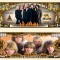 !!! NOU : SUA = FANTASY NOTE (TJ6) = TRUPA &#039;&#039; DEF LEPPARD &#039;&#039; - 2023 - UNC