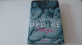 Cumpara ieftin John updike - villages