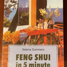 FENG SHUI IN 5 MINUTE de SELENA SUMMERS , 2003
