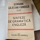 SINTEZE DE GRAMATICA ENGLEZA - GEORGIANA GALATEANU FARNOAGA