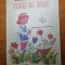 carte pentru copii - flori de camp - din anul 1988
