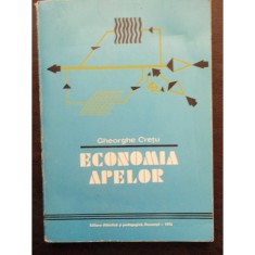 ECONOMIA APELOR - GHEORGHE CRETU