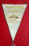 Fanion Sportiv (perioada comunista) - FEDERATIA de HALTERE din ROMANIA (dimensiuni 26X17 cm)