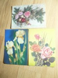 3 Ilustrate URSS 1980 ,&#039;82 , &#039;90 - Flori