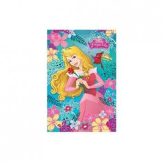 Blocnotes A7 cu Disney Princess, Aurora foto