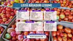 Rasad rosii, castraveti, vinete, ardei si alte rasaduri legume