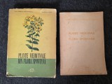 Set 2 cărți vechi plante medicinale. Plante medicinale din flora spontană.