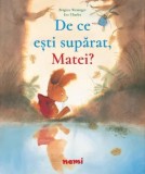 Cumpara ieftin De ce esti suparat, Matei?/Brigitte Weninger, Eve Tharlet