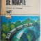 Tren de noapte &ndash; Constantin Georgescu