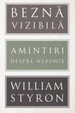 Beznă vizibilă. Amintiri despre nebunie - William Styron, ART