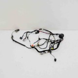 Cablaj ușă dreapta spate TESLA MODEL X 2018 OEM: 1032442-70-G 12574191