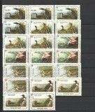 HAITI 1975 FAUNA PASARI - 3 FOTO