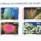 Romania, LP 1570a/2001, Corali si anemone de mare, bloc de 4 marci, MNH