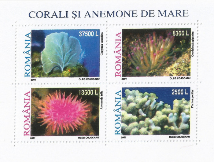 Romania, LP 1570a/2001, Corali si anemone de mare, bloc de 4 marci, MNH