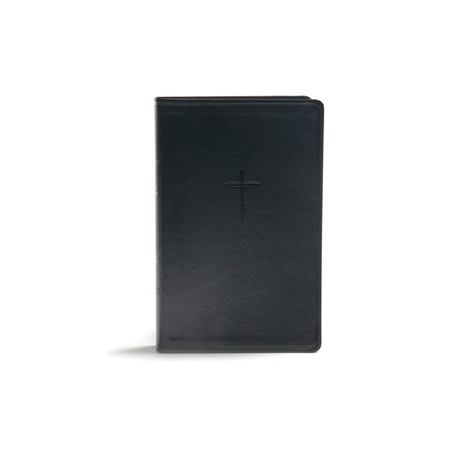 CSB Everyday Study Bible, Charcoal Leathertouch