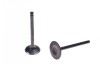 Set 2 Supape ATV/Cross 125cc Motor Orizontal - Admisie &amp; Evacuare, Tija 5mm, Rival Store