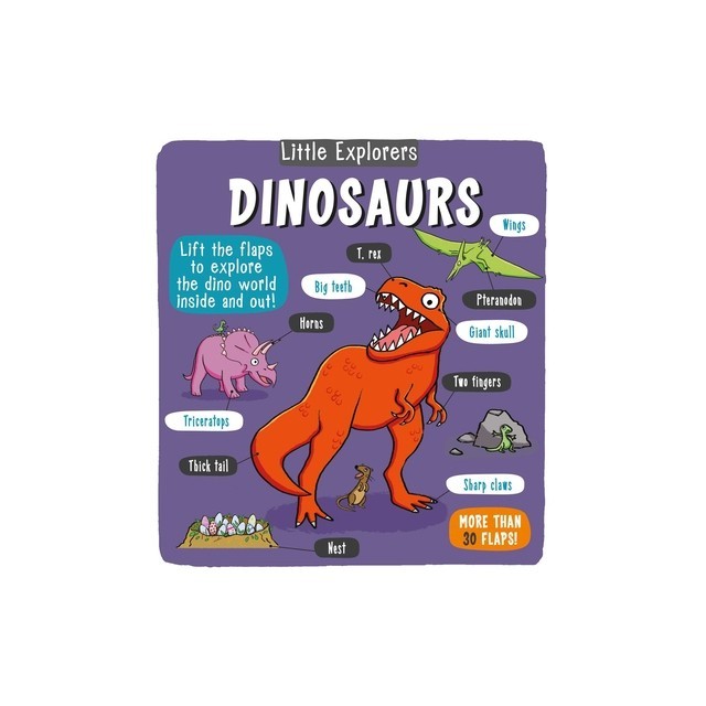 Little Explorers: Dinosaurs