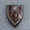 Insigna al IV le-a schimb de insigne Arad sept.1984