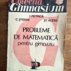 Probleme de matematica pentru gimnaziu - I. Petrica / R8P3S