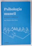 PSIHOLOGIA MUNCII , RANDAMENT SI STARE DE BINE de JOSE MARIA LEON PEREZ , 2022 , MIC DEFECTE