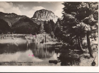 CPIB 22176 - CARTE POSTALA - LACUL ROSU, VEDERE SPRE SUHARD, RPR foto
