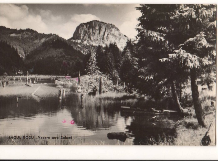 CPIB 22176 - CARTE POSTALA - LACUL ROSU, VEDERE SPRE SUHARD, RPR