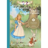 Alice &icirc;n Tara Minunilor &amp;amp; Alice in Tara din Oglinda. Repovestire dupa scrierile lui Lewis Carroll - Eva Mason