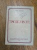 Tencuieli uscate - Ing. St. Gheorghita / R5P2F, Alta editura, Carti constructii