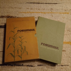 Traian Savulescu: Porumbul - Studiu monografic
