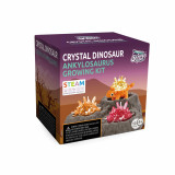 Set experimente - Cristal si dinozaur (Ankylosaurus), Topbright