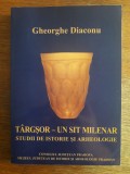 Targsor - Un sit milenar - Gheorghe Diaconu / R4P3S, Alta editura