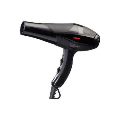 Uscator de Par Profesional Ultra Force 2100Watt foto