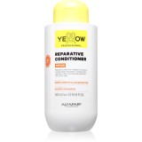 Yellow Professional Repair Reparative Conditioner balsam pentru regenerare pentru par deteriorat 500 ml