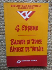 BALADE SI IDILE, CANTECE DE VITEJIE-GEORGE COSBUC foto