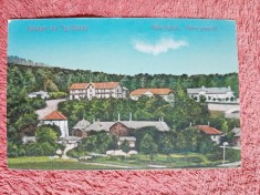 Carte postala, Tg.-Neamt Baile Oglinzi, perioada interbelica