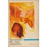 Instantanee din viata animalelor - editia a II-a