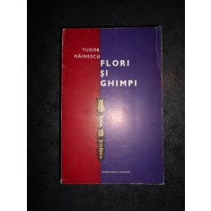 TUDOR MAINESCU - FLORI SI GHIMPI (1967)