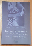 Sfaturile evanghelice in Biserica Ortodoxa, dupa Sfintii Parinti de Ioasaf Popa