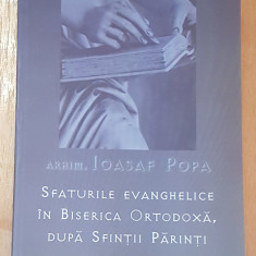 Sfaturile evanghelice in Biserica Ortodoxa, dupa Sfintii Parinti de Ioasaf Popa