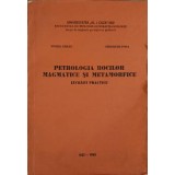 PETROLOGIA ROCILOR MAGMATICE SI METAMORFICE. LUCRARI PRACTICE-V. ERHAN, G. POPA-240476