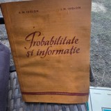 Probabilitate si informatie - A. M. Ialom, I. M. Ialom