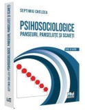 Cumpara ieftin Psihosociologice. Panseuri, panselute si scaieti/Septimiu Chelcea